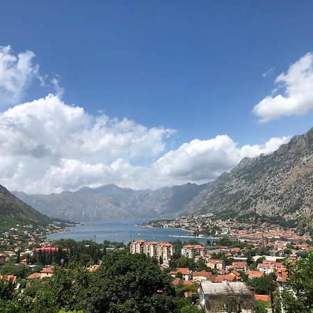 Apartman Savo Kotor Exteriér fotografie