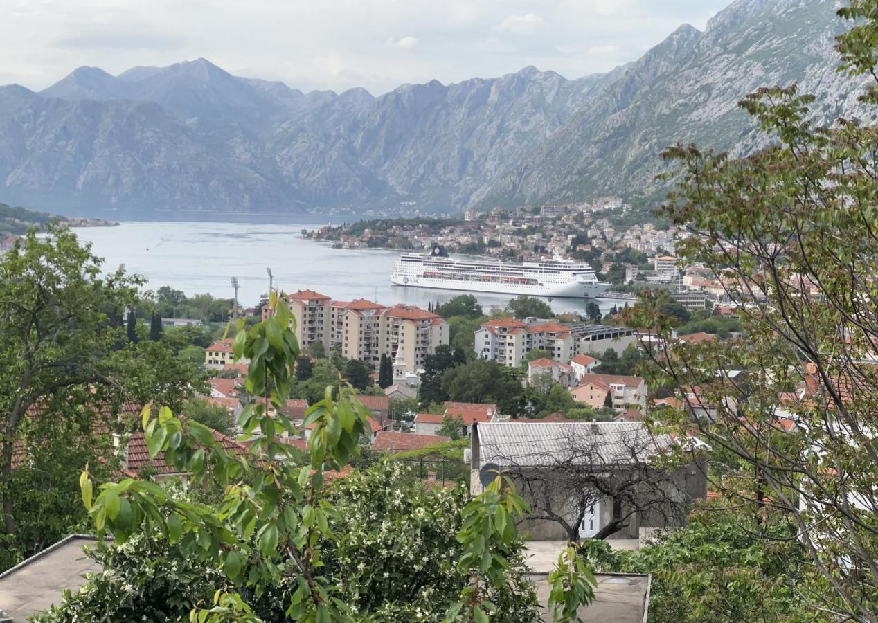 Apartman Savo Kotor Exteriér fotografie